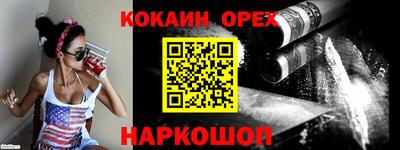 спиды Кингисепп