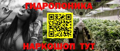спиды Кингисепп