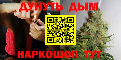 спиды Кингисепп