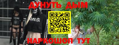 спиды Кингисепп
