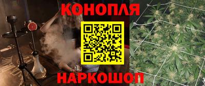 спиды Кингисепп
