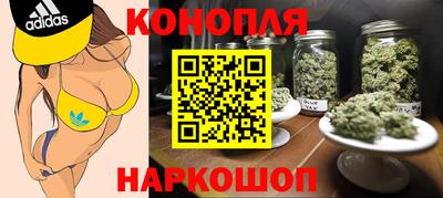 спиды Кингисепп