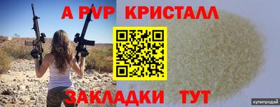 спиды Кингисепп