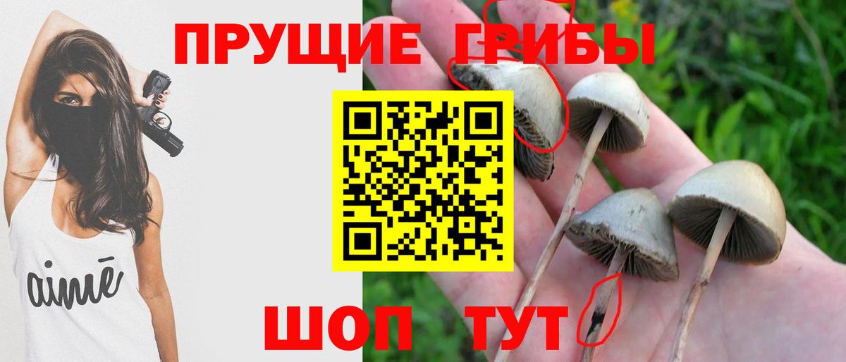 Галлюциногенные грибы мицелий Краснокаменск